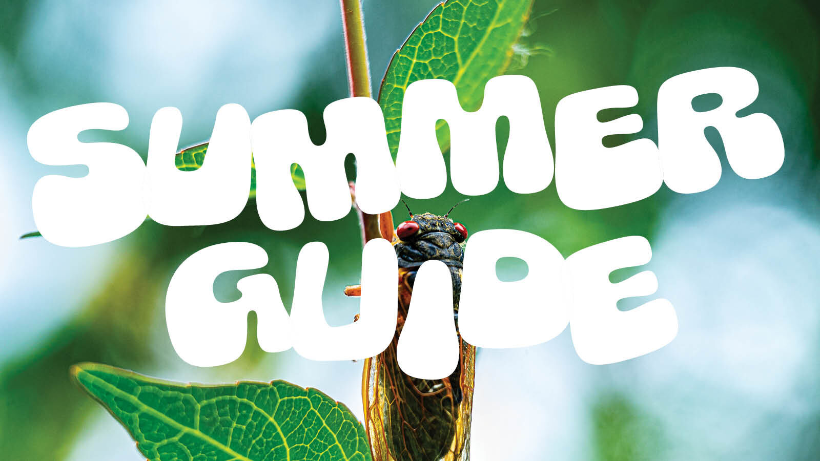 Summer Guide 2024